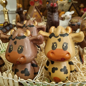 Salon de thé, Chocolatier Besançon