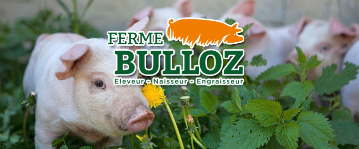 LA FERME BULLOZ A FONTAIN
