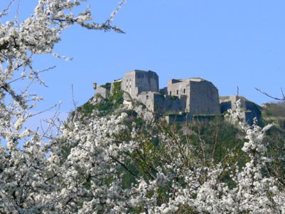 FORTS DE SALINS